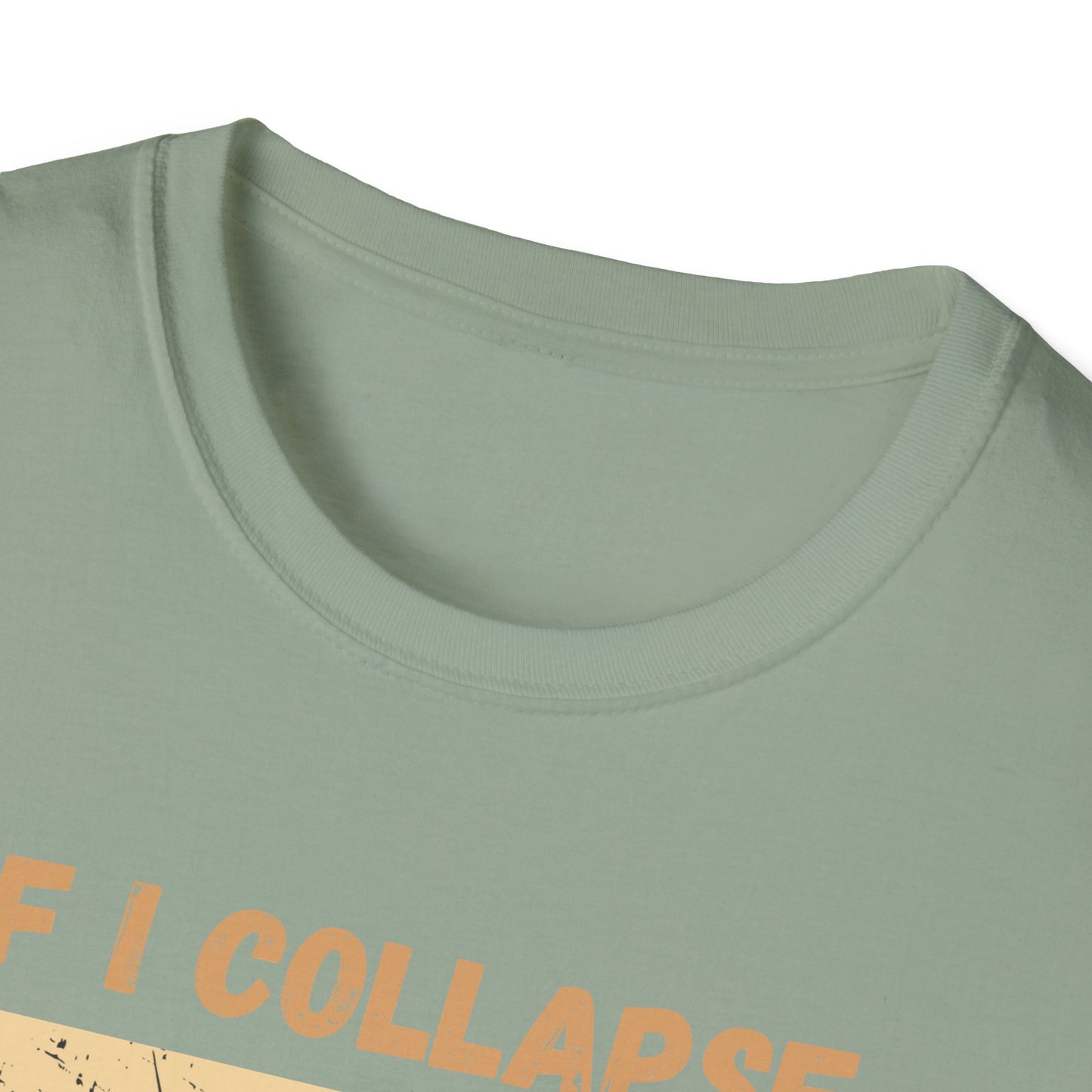 If I Collapse Please Pause My Watch